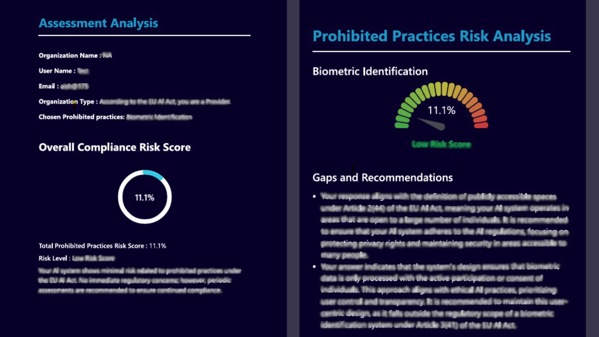 Risk Assessment Report